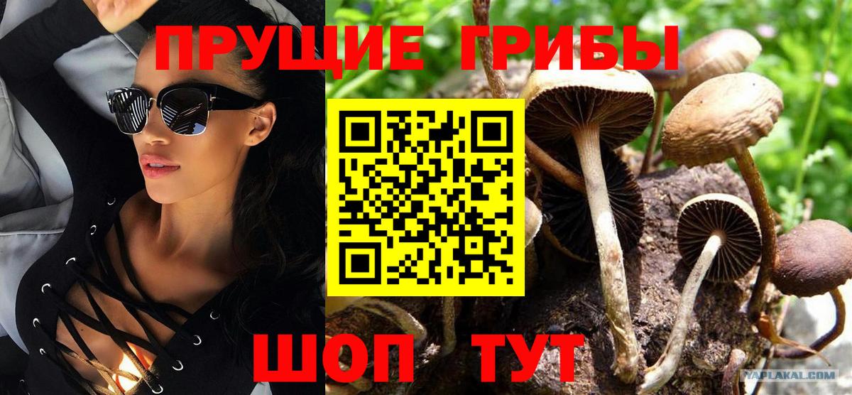Псилоцибиновые грибы MAGIC MUSHROOMS Богданович